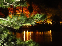 対岸