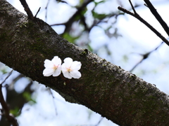 二人で