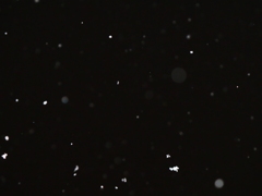 はだれ雪