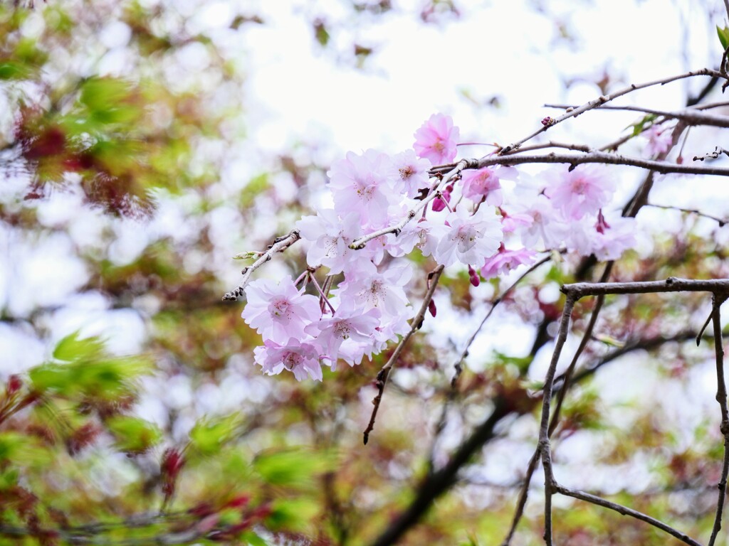 混じり合う