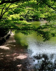 花も積もれば