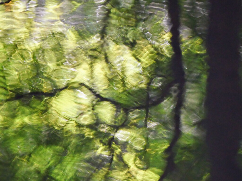 揺らぐ
