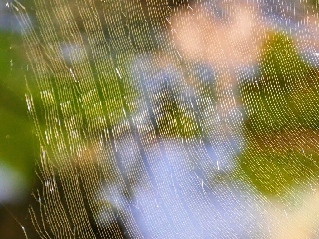 巧技