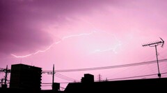 紫電