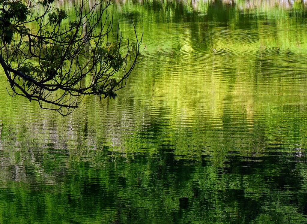 水紋