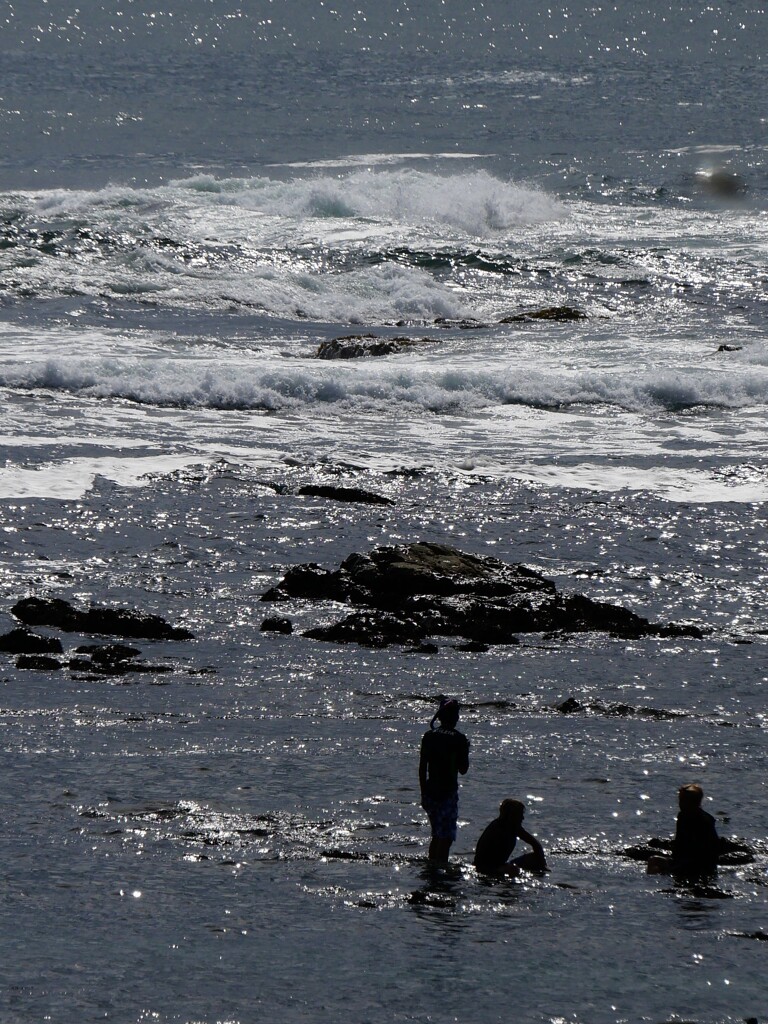 水光