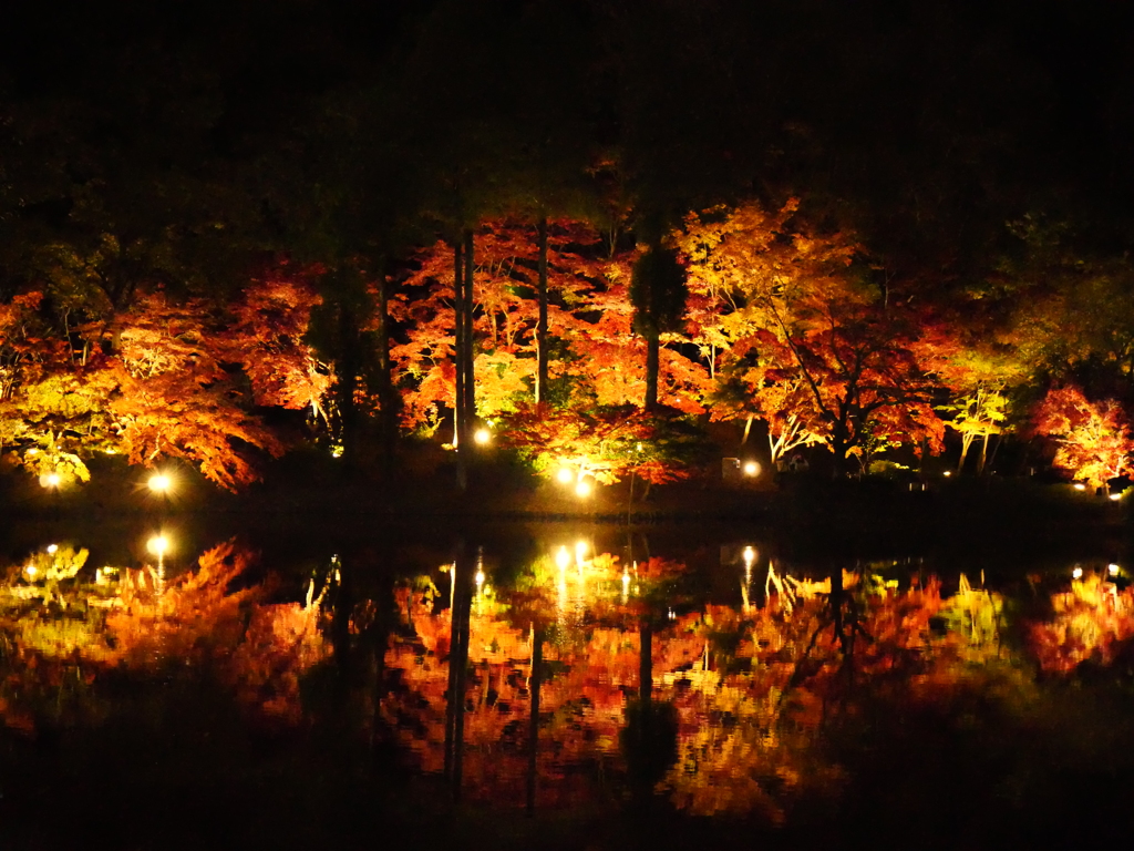 紅葉