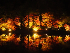 紅葉