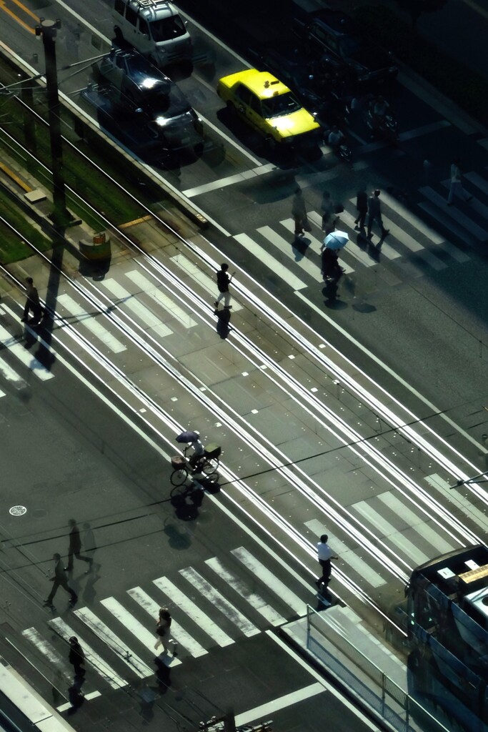 横断歩道　影を連れ添って渡る