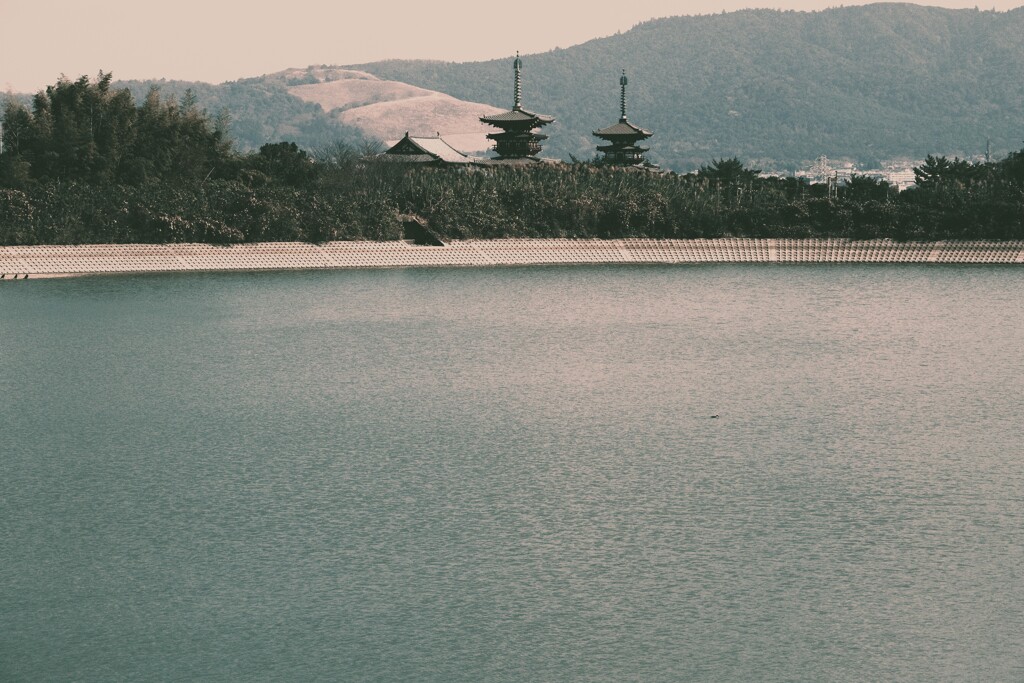 世界遺産　西ノ京