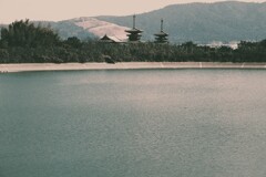 世界遺産　西ノ京
