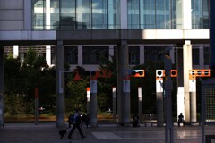 orange collar