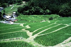 里山
