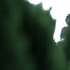 石切大仏