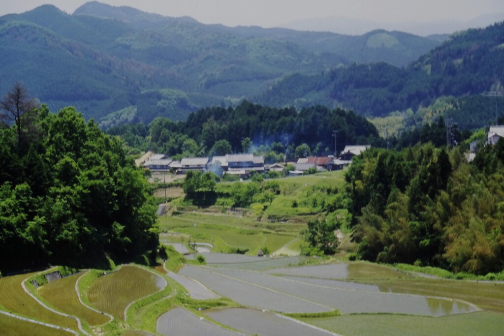 明日香棚田原風景