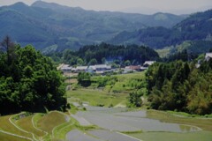 明日香棚田原風景
