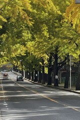 黄葉のトンネル