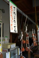 干し柿からのお願い