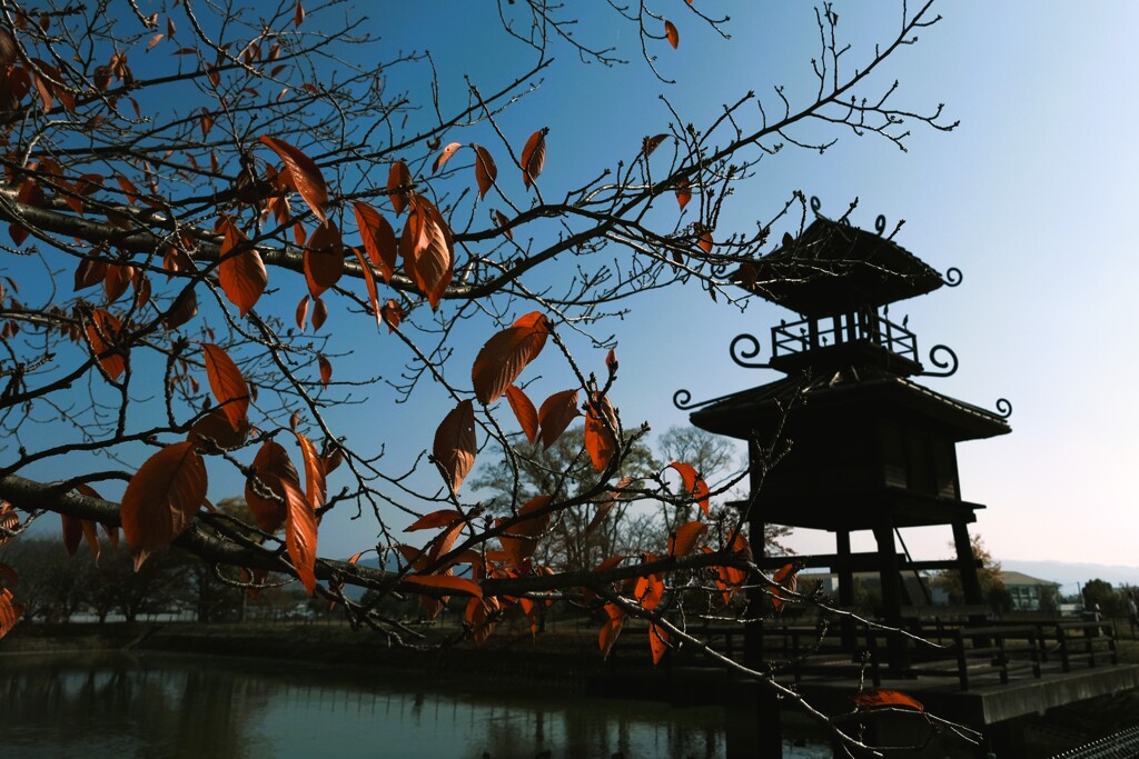 唐古・鍵遺跡暮秋