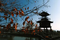 唐古・鍵遺跡暮秋