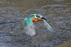 DSC_9265_DxO