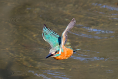 DSC_9281_DxO