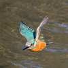 DSC_9281_DxO