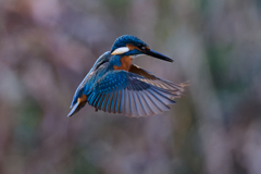 DSC_5724_DxO