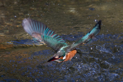 DSC_4715_DxO-2