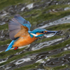 DSC_5285_DxO