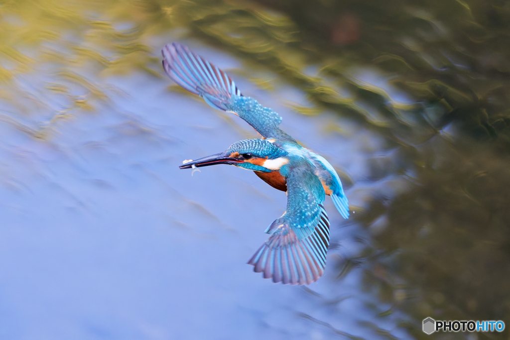 朝日に照らされて