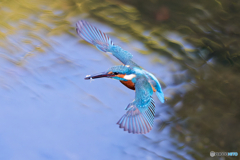 朝日に照らされて