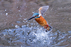DSC_9403_DxO