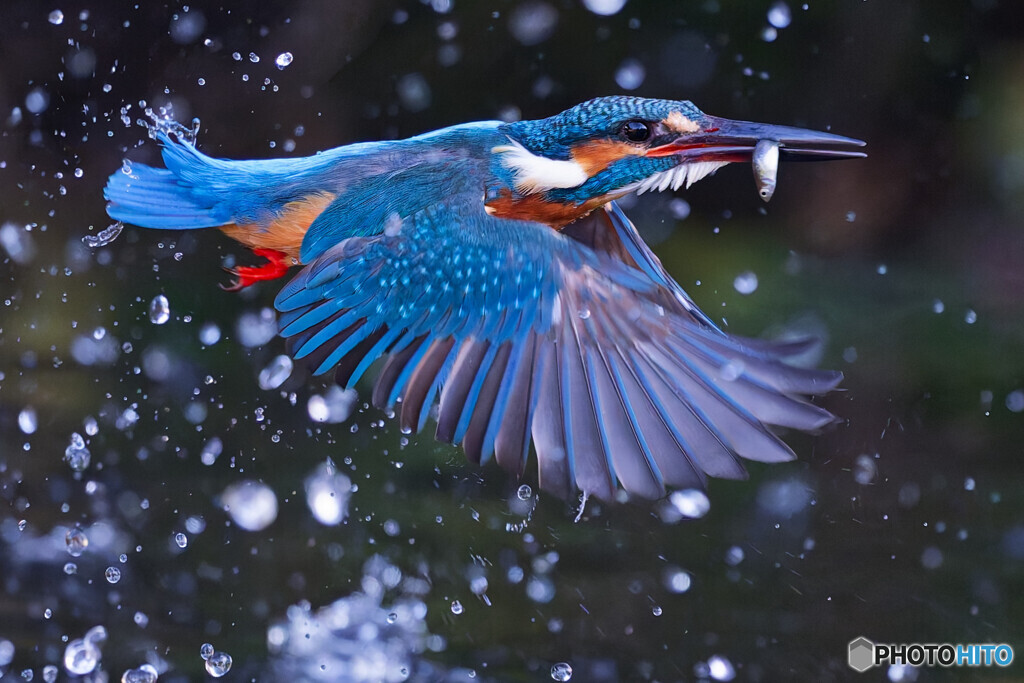 いつもと違う場所で