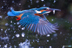 いつもと違う場所で