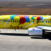 スカイマーク ピカチュウジェットBC1 ①