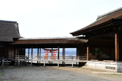 年末の厳島神社 Part2