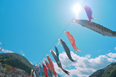 青空を泳ぐ②