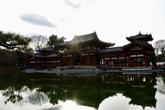 後光の平等院 鳳凰堂