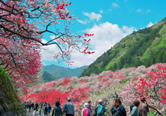 里山にある桃源郷⑥