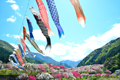 青空を泳ぐ④