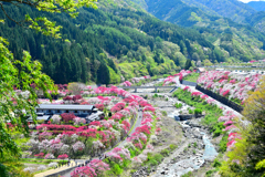 里山にある桃源郷②
