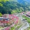 里山にある桃源郷②