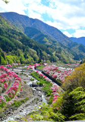 里山にある桃源郷①