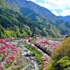 里山にある桃源郷①