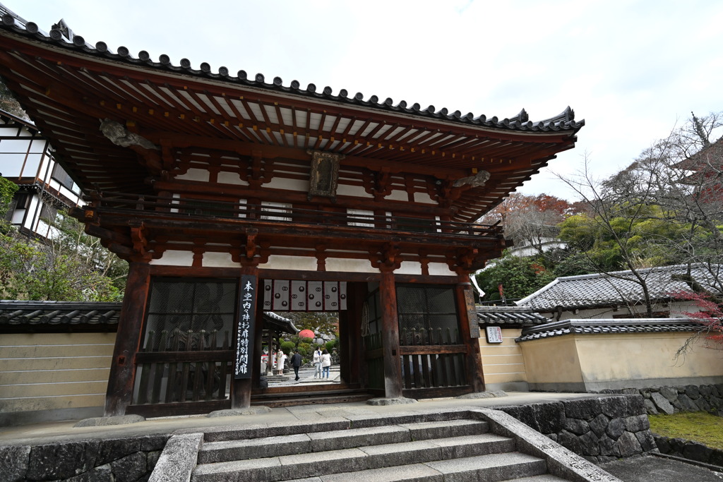 奈良　岡寺参拝