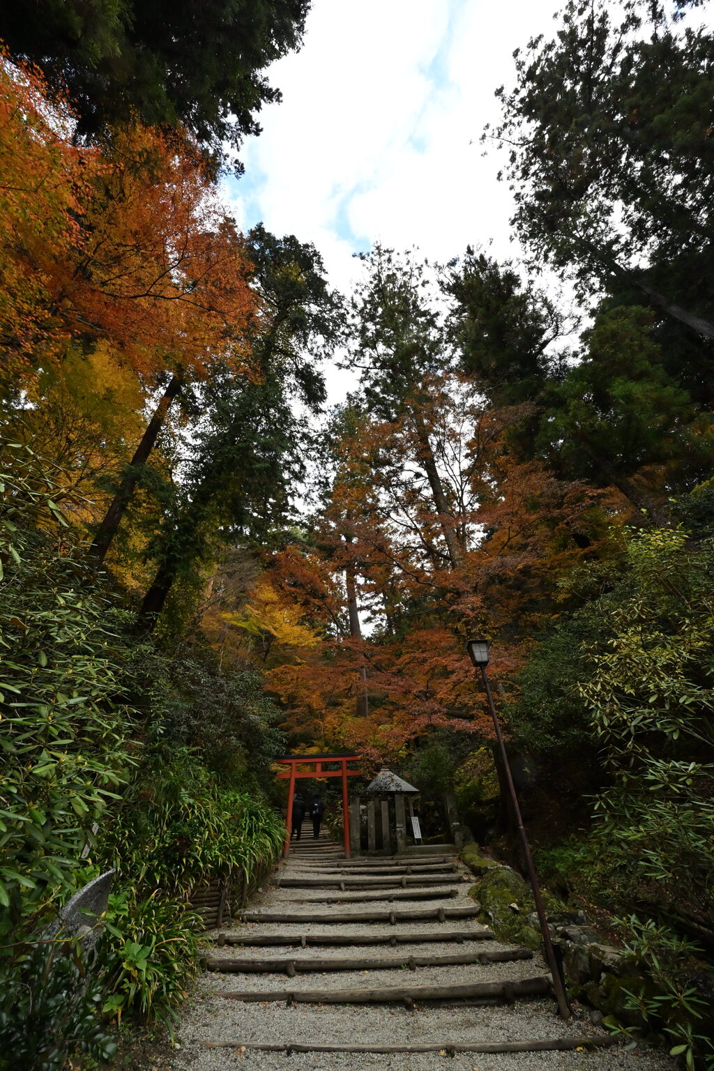 岡寺奥之院紅葉