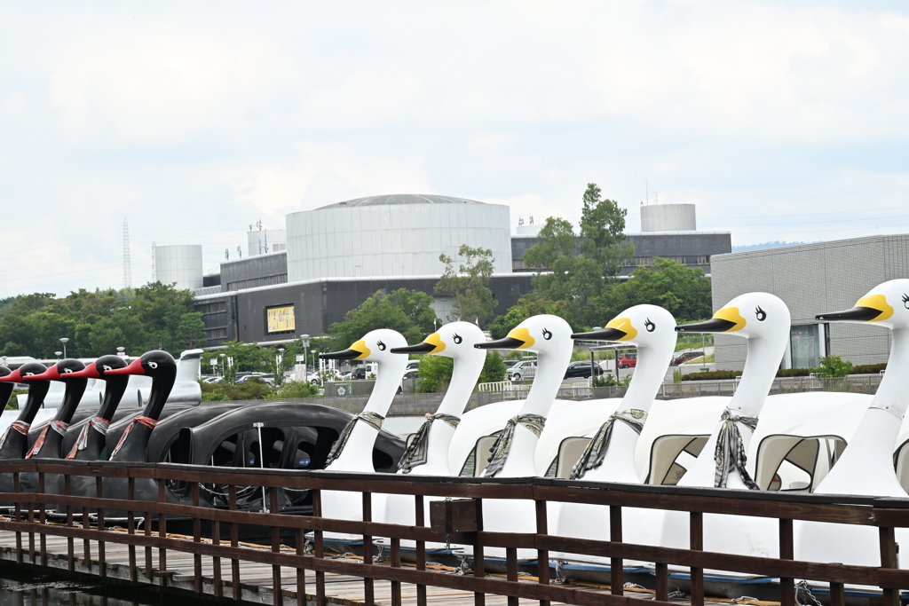 ようこそいらっしゃい　乗ってってー
