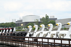 ようこそいらっしゃい　乗ってってー