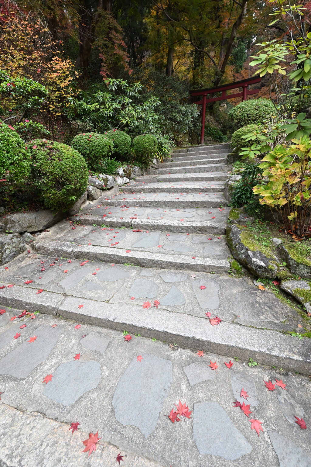 落ちてるだけで